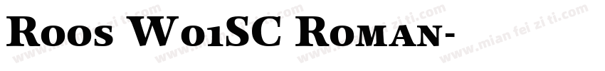 Roos W01SC Roman字体转换